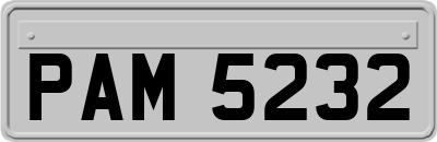 PAM5232