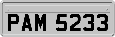 PAM5233