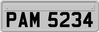 PAM5234