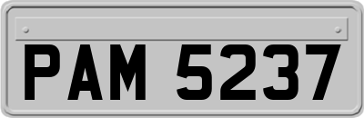 PAM5237