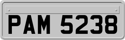 PAM5238