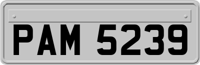 PAM5239