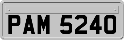 PAM5240
