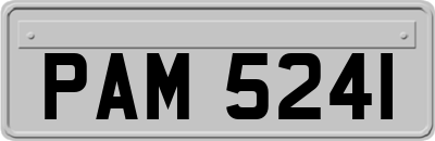 PAM5241