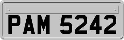 PAM5242