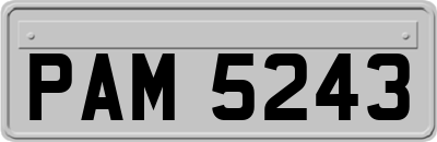 PAM5243