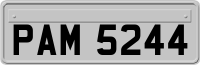 PAM5244