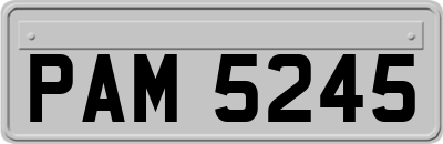 PAM5245