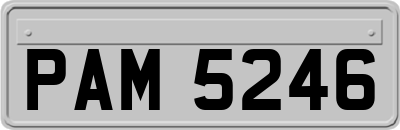 PAM5246
