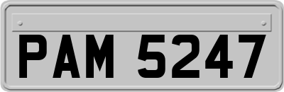 PAM5247