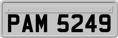 PAM5249