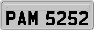 PAM5252