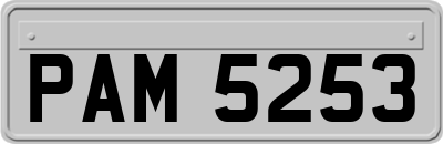 PAM5253