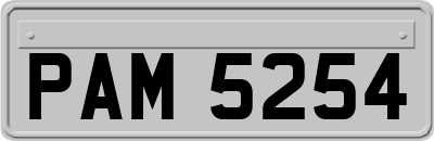 PAM5254