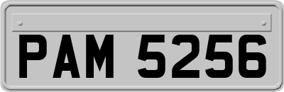 PAM5256