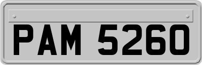 PAM5260