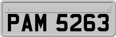 PAM5263