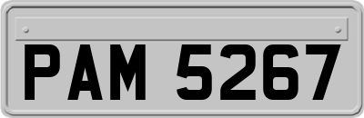 PAM5267