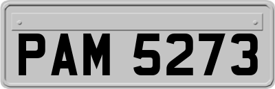 PAM5273