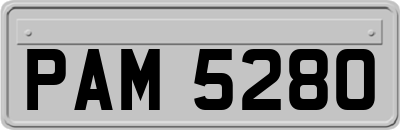 PAM5280