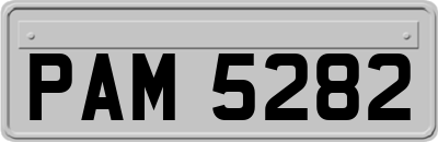 PAM5282