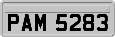 PAM5283