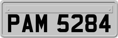 PAM5284