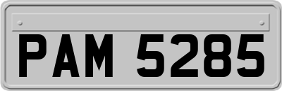 PAM5285