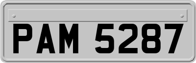 PAM5287