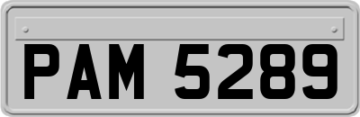 PAM5289