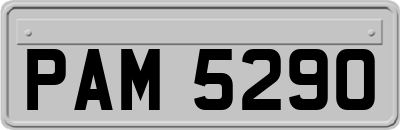 PAM5290