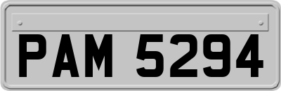 PAM5294