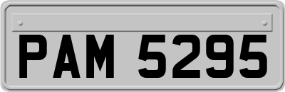 PAM5295