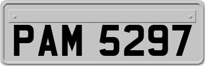 PAM5297