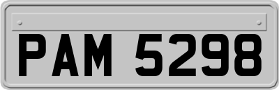 PAM5298