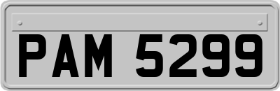 PAM5299