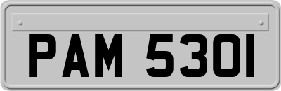 PAM5301