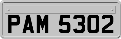 PAM5302