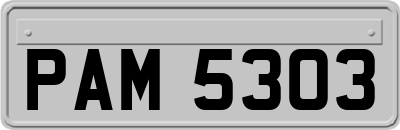 PAM5303
