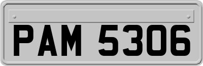 PAM5306