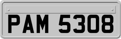 PAM5308