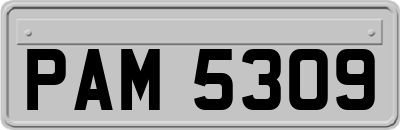 PAM5309