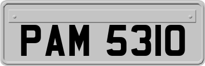 PAM5310