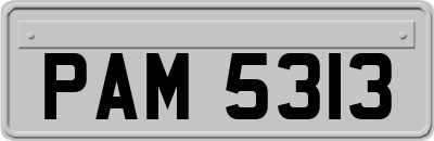 PAM5313