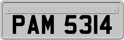 PAM5314