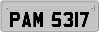 PAM5317