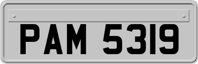 PAM5319