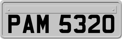 PAM5320