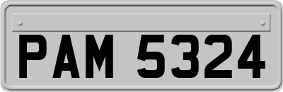 PAM5324
