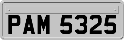 PAM5325